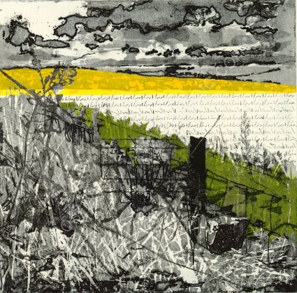 <U>Fields raised for the Consumer 06</U>